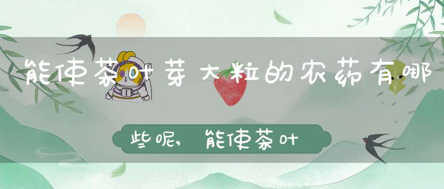 能使茶叶芽大粒的农药有哪些呢,能使茶叶芽大粒的农药有哪些药