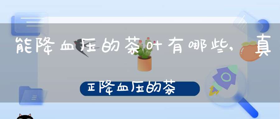 能降血压的茶叶有哪些,真正降血压的茶
