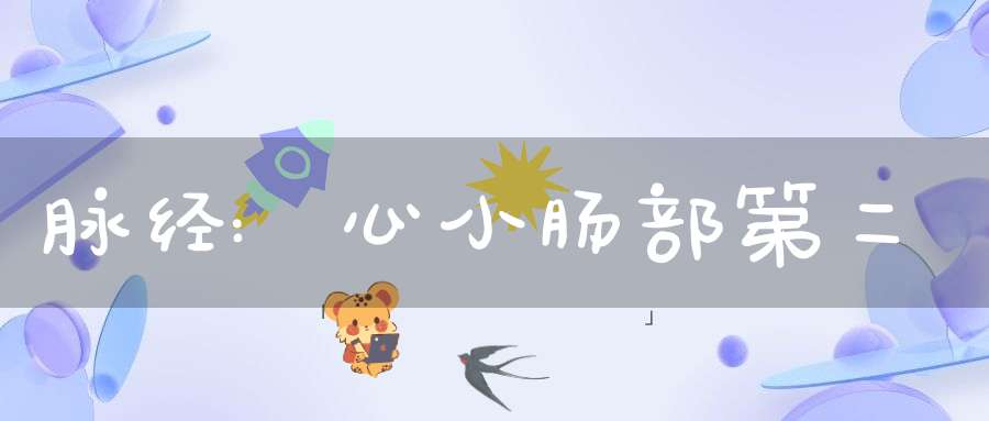 脉经:心小肠部第二