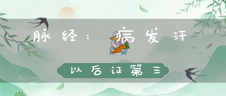 脉经:病发汗以后证第三