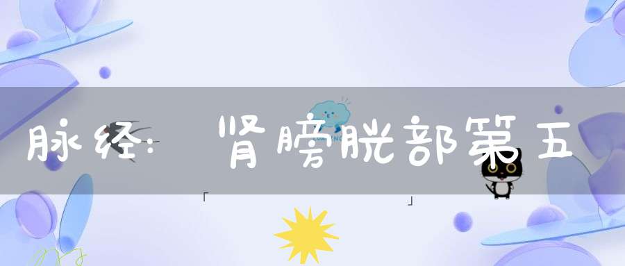 脉经:肾膀胱部第五