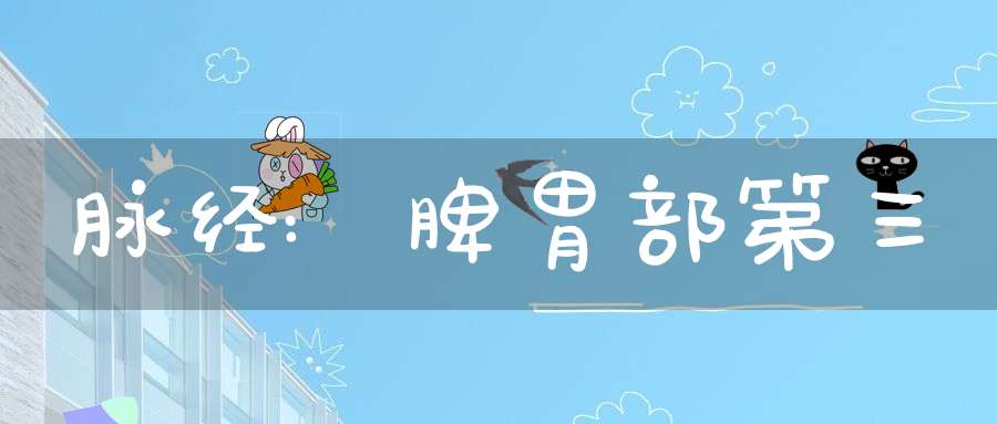 脉经:脾胃部第三