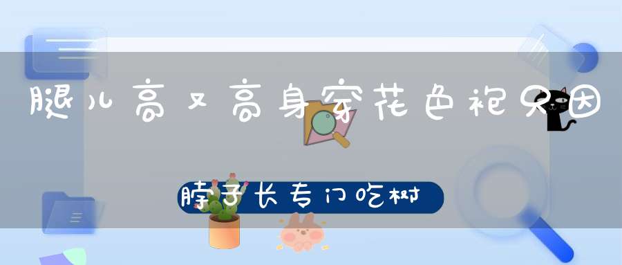 腿儿高又高，身穿花色袍，只因脖子长，专门吃树梢。 （猜一动物）