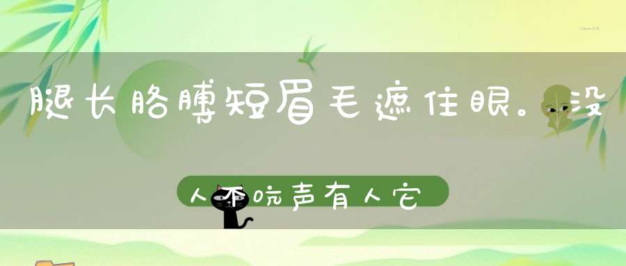 腿长胳膊短，眉毛遮住眼。没人不吭声，有人它乱窜（打一动物）