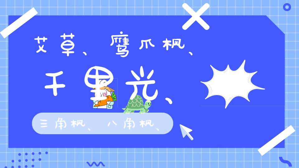 艾草、鹰爪枫、千里光、三角枫、八角枫、能不能配？