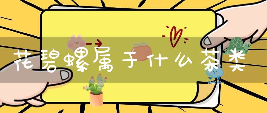 花碧螺属于什么茶类