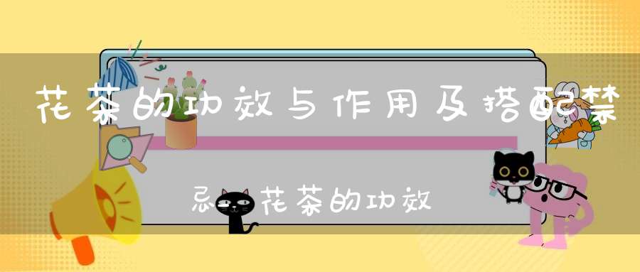 花茶的功效与作用及搭配禁忌_花茶的功效与作用及搭配用量