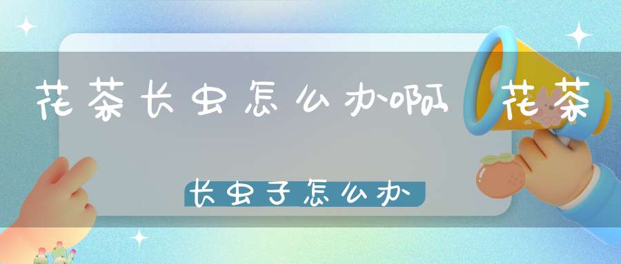 花茶长虫怎么办啊,花茶长虫子怎么办