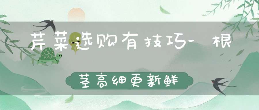 芹菜选购有技巧-根茎高细更新鲜