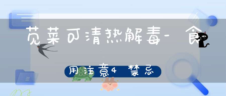 苋菜可清热解毒-食用注意4禁忌