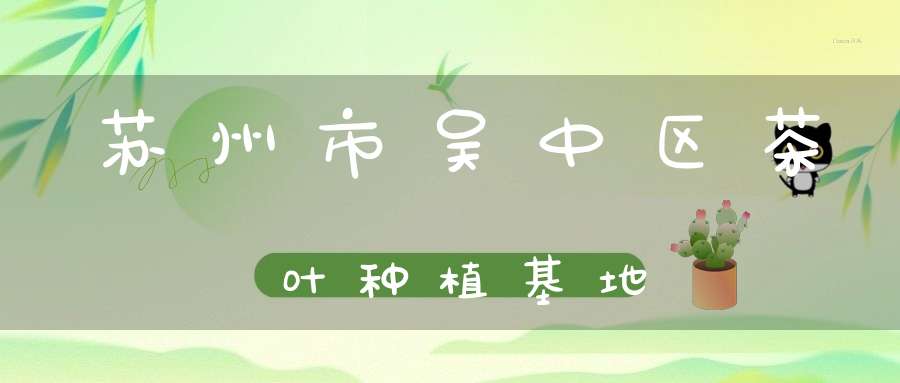 苏州市吴中区茶叶种植基地