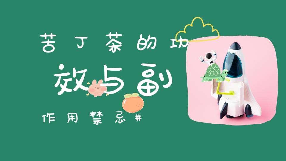 苦丁茶的功效与副作用禁忌