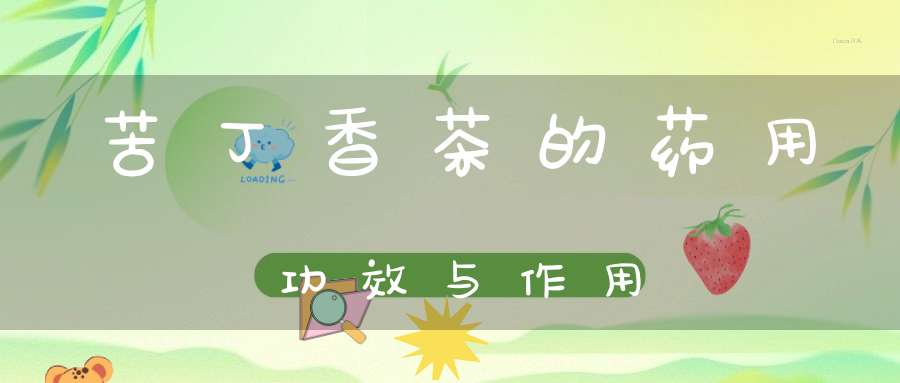 苦丁香茶的药用功效与作用