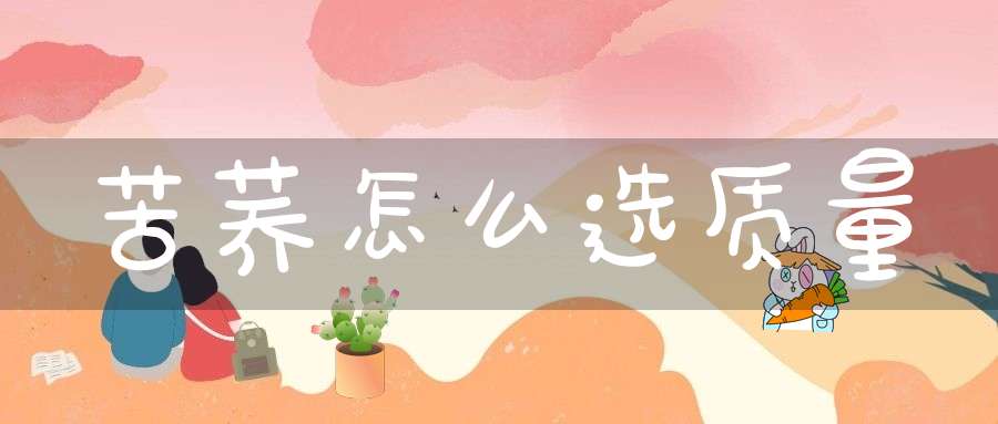 苦荞怎么选质量