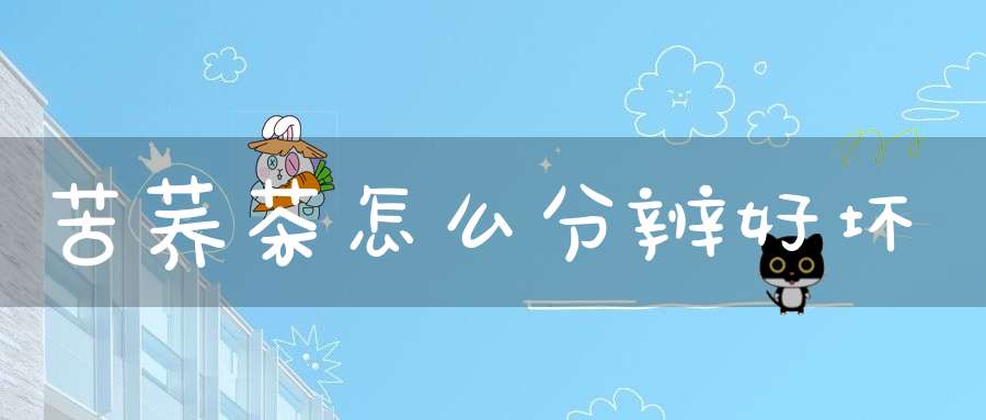 苦荞茶怎么分辨好坏