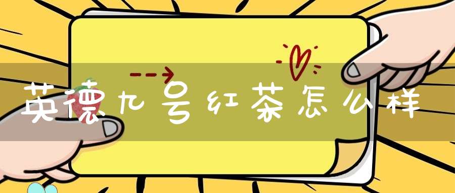 英德九号红茶怎么样