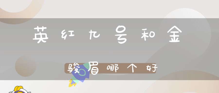 英红九号和金骏眉哪个好