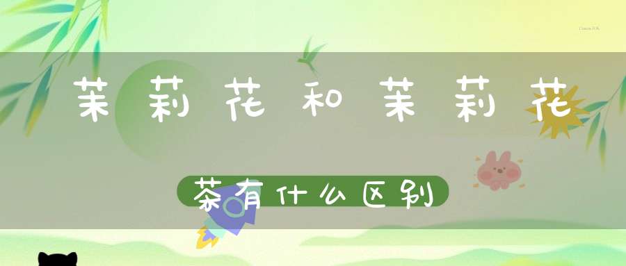 茉莉花和茉莉花茶有什么区别