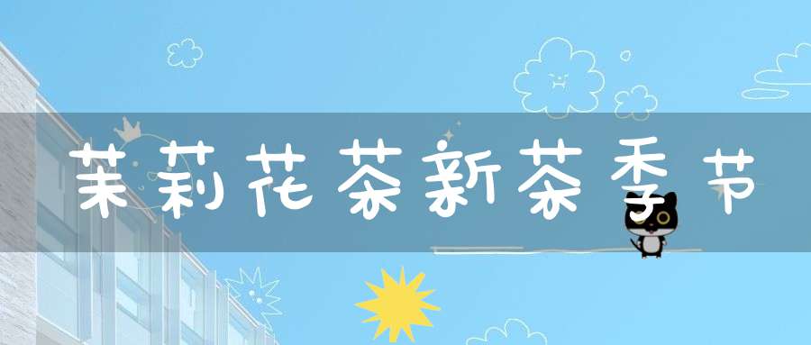 茉莉花茶新茶季节