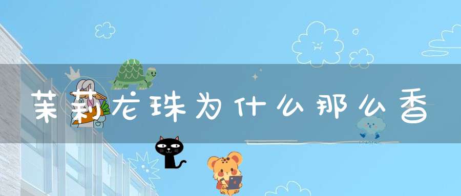 茉莉龙珠为什么那么香