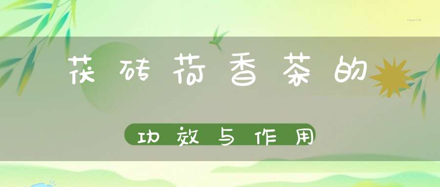 茯砖荷香茶的功效与作用