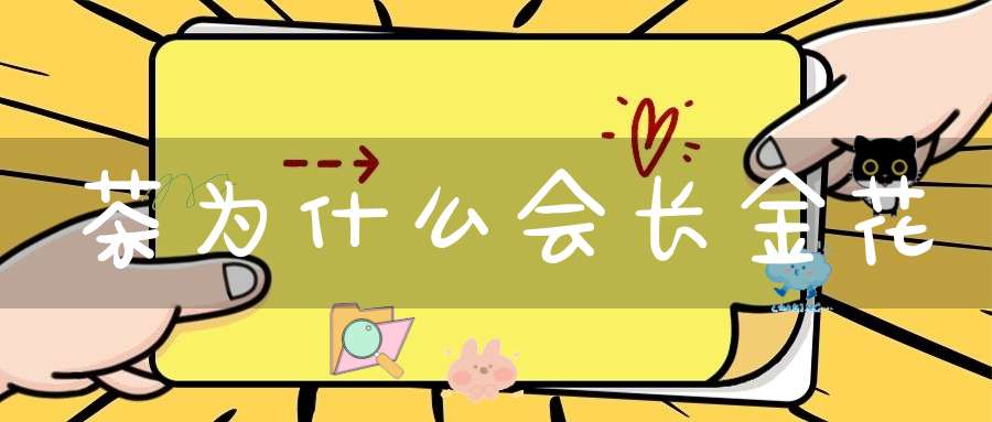茶为什么会长金花
