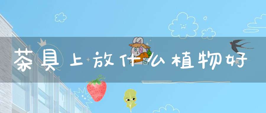茶具上放什么植物好