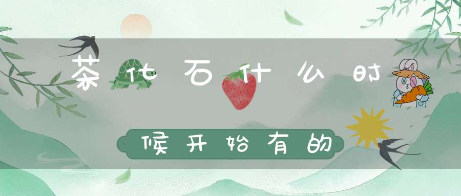 茶化石什么时候开始有的