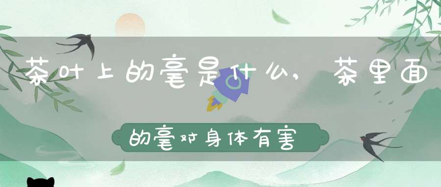 茶叶上的毫是什么,茶里面的毫对身体有害吗