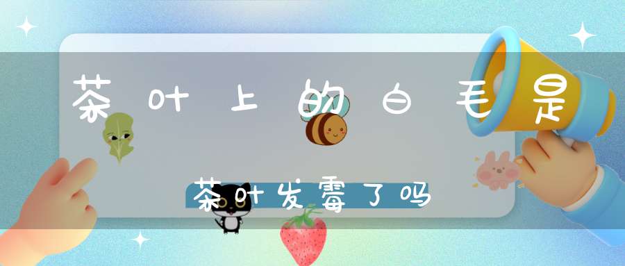 茶叶上的白毛是茶叶发霉了吗?