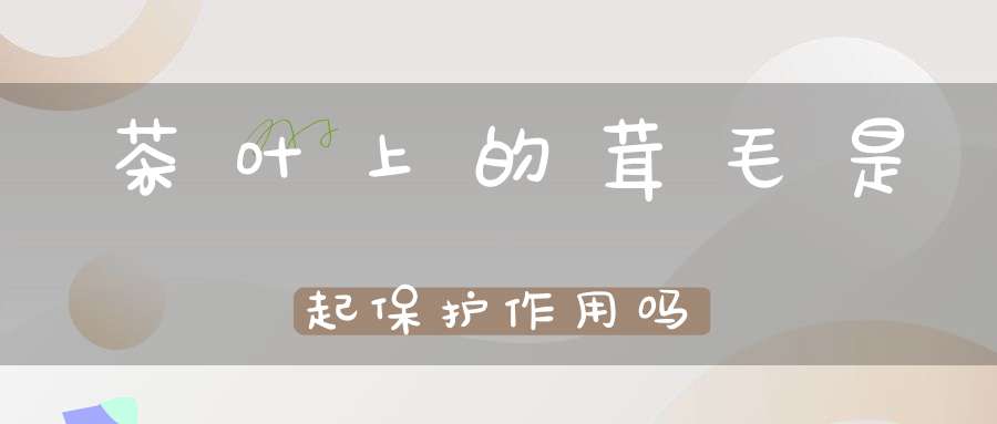 茶叶上的茸毛是起保护作用吗