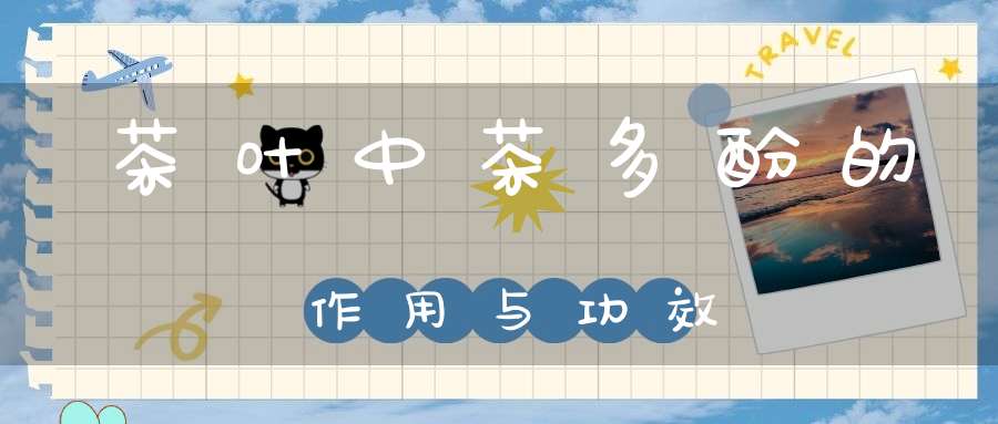 茶叶中茶多酚的作用与功效