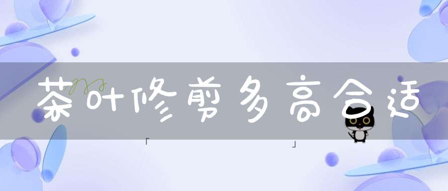 茶叶修剪多高合适