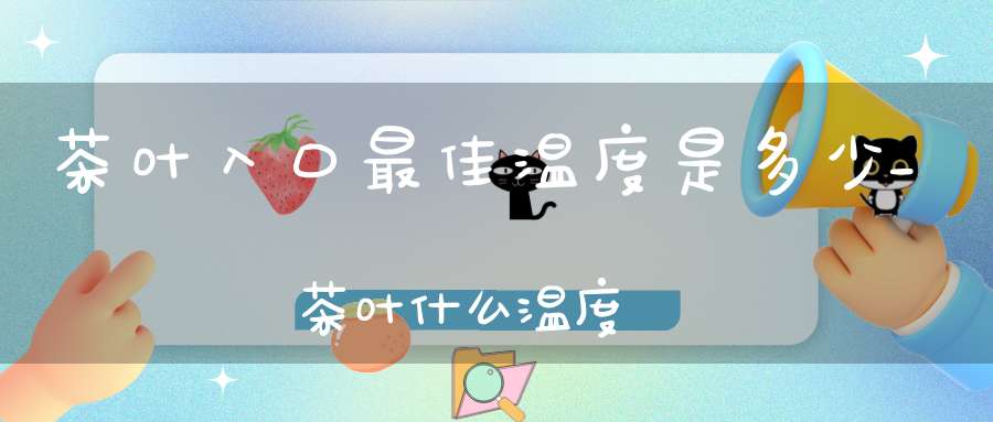茶叶入口最佳温度是多少_茶叶什么温度
