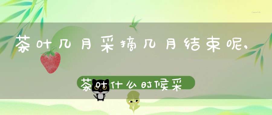 茶叶几月采摘几月结束呢,茶叶什么时候采摘结束