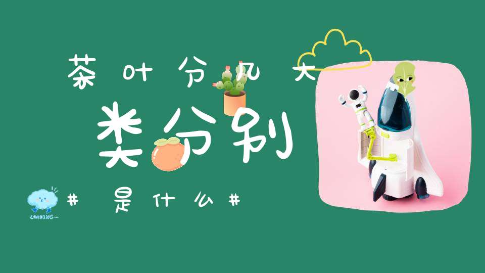 茶叶分几大类分别是什么