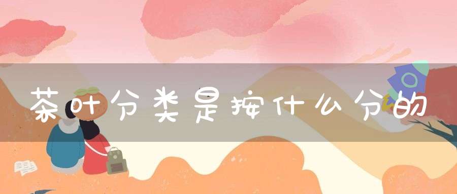 茶叶分类是按什么分的