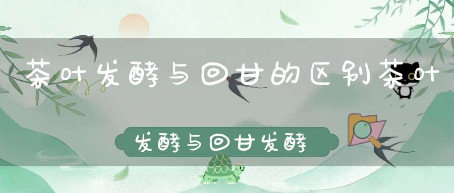 茶叶发酵与回甘的区别茶叶发酵与回甘发酵区别