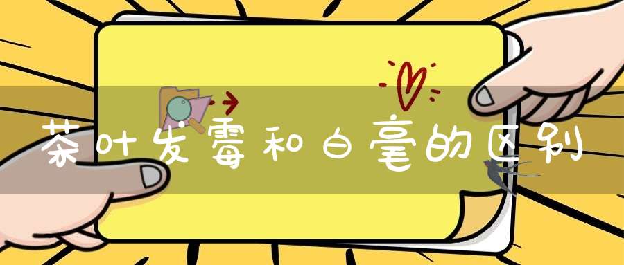 茶叶发霉和白毫的区别