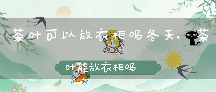 茶叶可以放衣柜吗冬天,茶叶能放衣柜吗