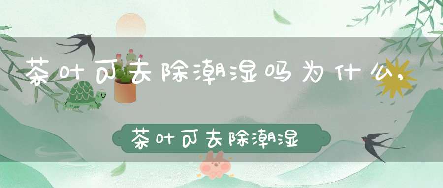 茶叶可去除潮湿吗为什么,茶叶可去除潮湿吗知乎