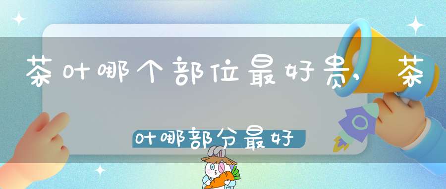 茶叶哪个部位最好贵,茶叶哪部分最好