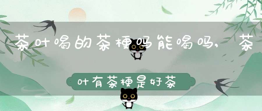 茶叶喝的茶梗吗能喝吗,茶叶有茶梗是好茶吗