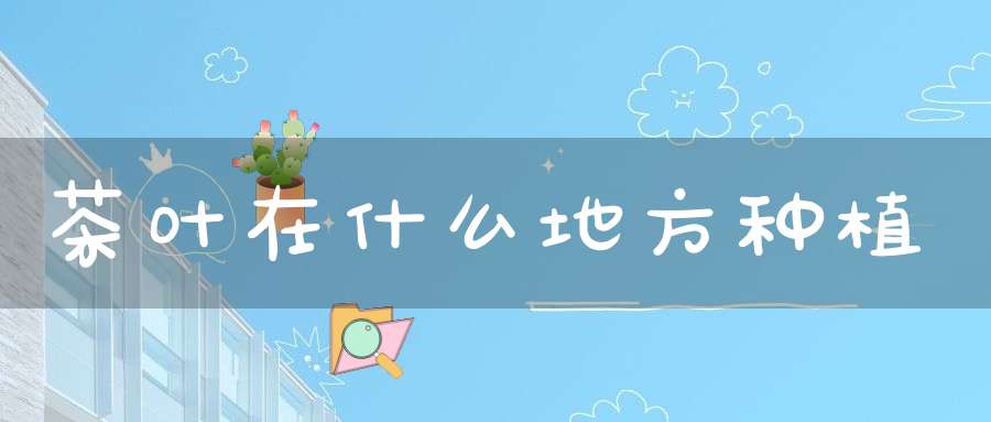 茶叶在什么地方种植