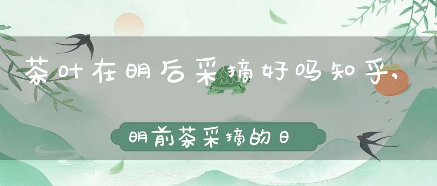 茶叶在明后采摘好吗知乎,明前茶采摘的日期只有十天