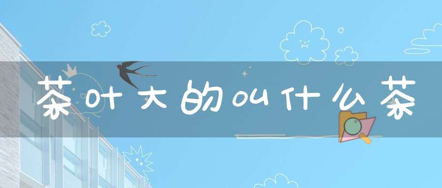茶叶大的叫什么茶