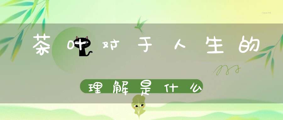 茶叶对于人生的理解是什么