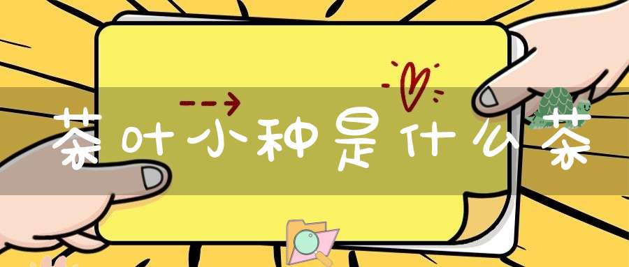 茶叶小种是什么茶