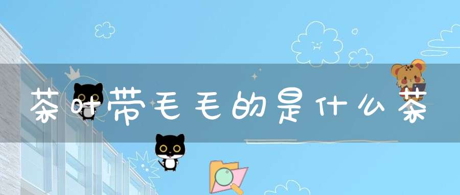 茶叶带毛毛的是什么茶