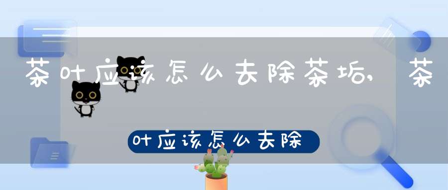 茶叶应该怎么去除茶垢,茶叶应该怎么去除异味